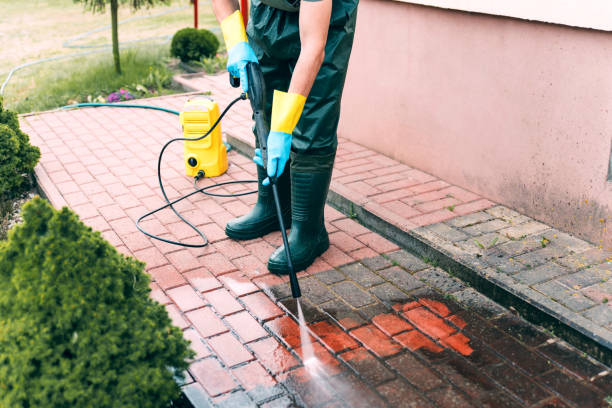 Solar Panel Cleaning in Waterford, CA